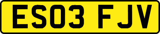 ES03FJV