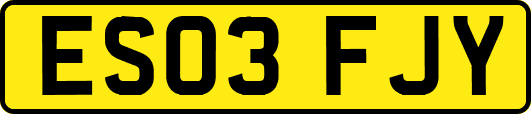 ES03FJY