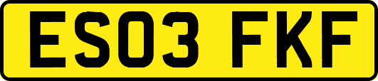 ES03FKF