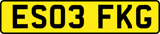 ES03FKG