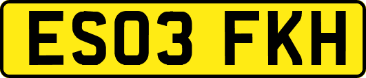 ES03FKH