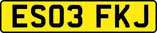 ES03FKJ