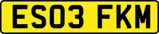 ES03FKM