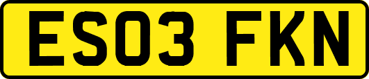 ES03FKN