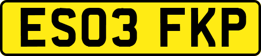 ES03FKP