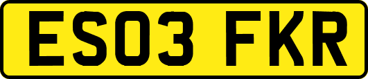 ES03FKR