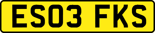 ES03FKS