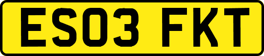 ES03FKT