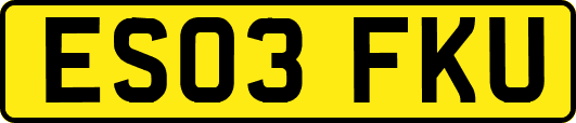 ES03FKU