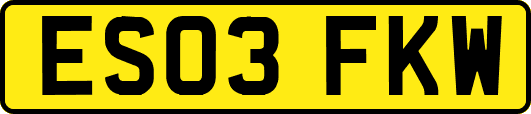 ES03FKW