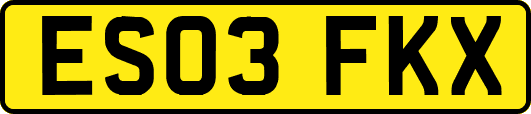 ES03FKX
