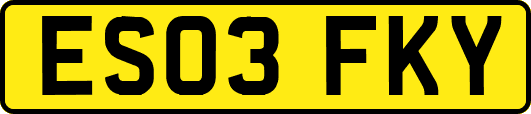 ES03FKY