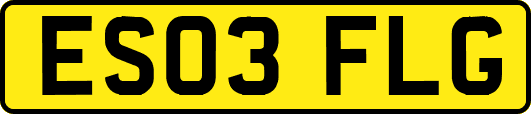 ES03FLG