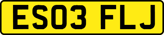 ES03FLJ