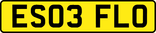 ES03FLO