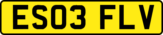 ES03FLV