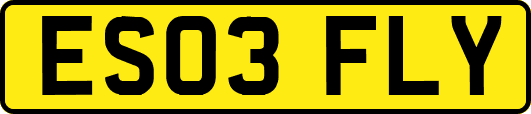 ES03FLY