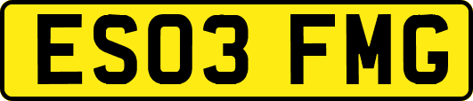 ES03FMG