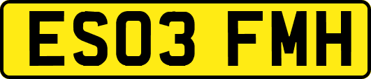 ES03FMH
