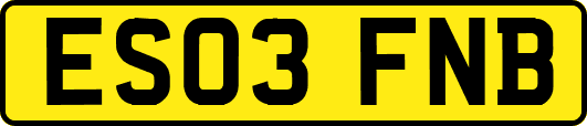 ES03FNB