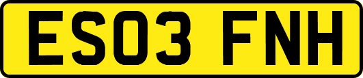 ES03FNH
