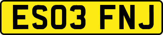 ES03FNJ