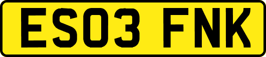 ES03FNK