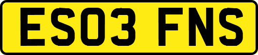 ES03FNS