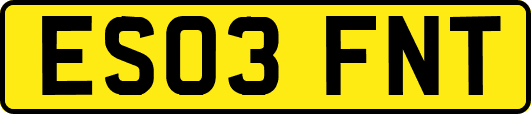 ES03FNT