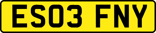 ES03FNY