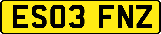 ES03FNZ