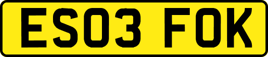 ES03FOK