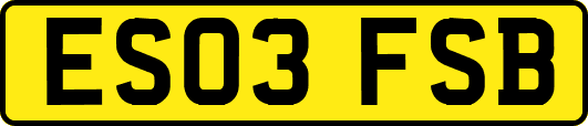 ES03FSB