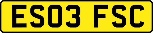 ES03FSC