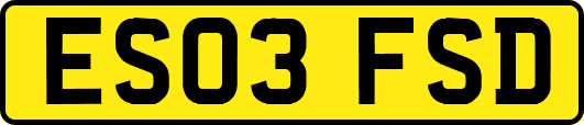 ES03FSD