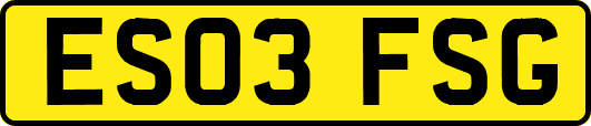 ES03FSG