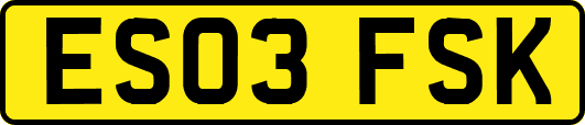 ES03FSK