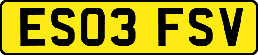 ES03FSV