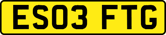 ES03FTG