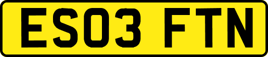 ES03FTN
