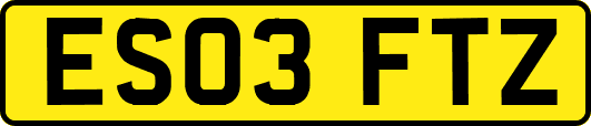 ES03FTZ