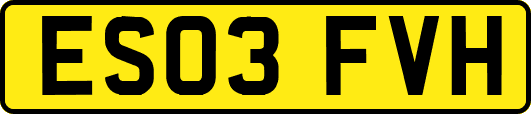 ES03FVH