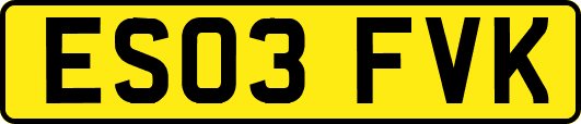 ES03FVK