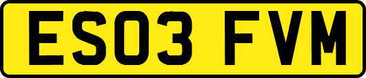 ES03FVM