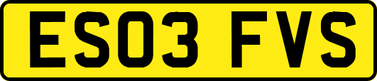 ES03FVS