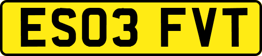 ES03FVT