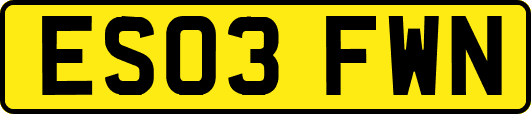 ES03FWN