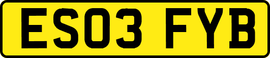 ES03FYB