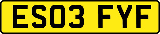 ES03FYF