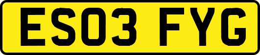 ES03FYG